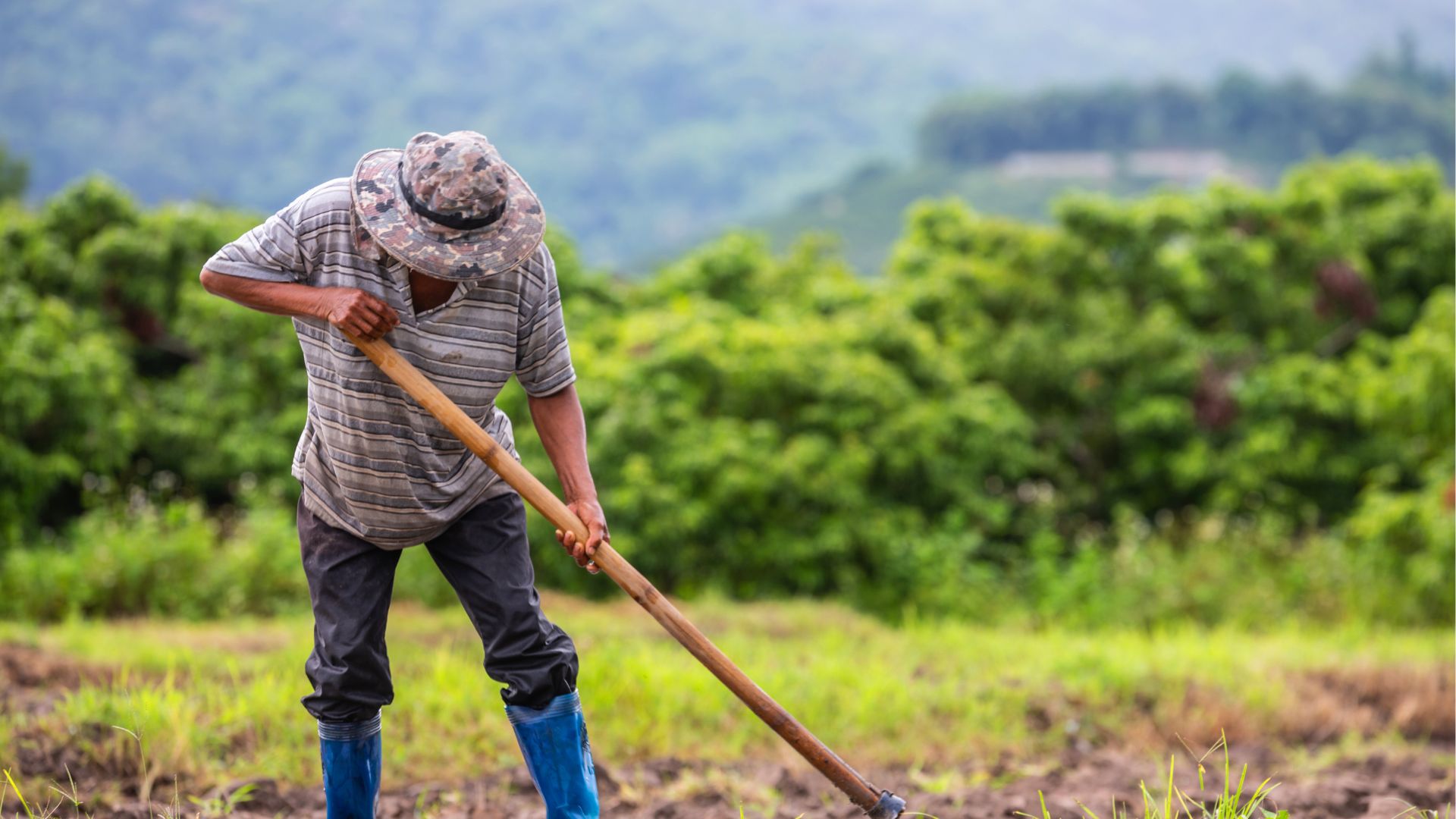 A fé, o trabalho e a escala 6×1: o paradoxo evangélico no Brasil